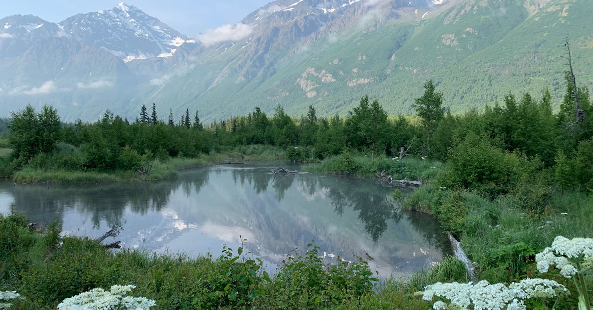 Explore Apostle Signature: Luxury in Alaska’s Anchorage